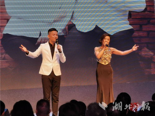 湖北省文艺界原创音乐作品专题演唱会成功举办，系列公益演出持续惠民